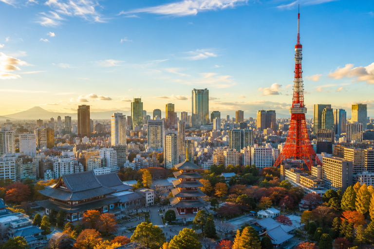 Tokyo Private Sightseeing Tour Top Attractions in One Day