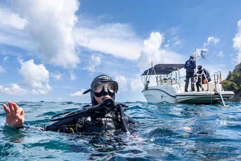 Mallorca: duiken zonder brevet met een duikinstructeur vanaf de boot - Cap de FormentorProbeer Scuba - Proefduiken