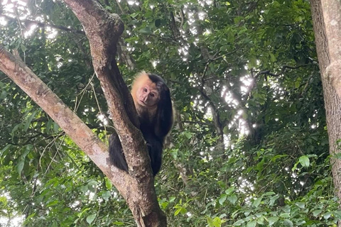 Panama City: Monkey Island & Gatun Lake Tour