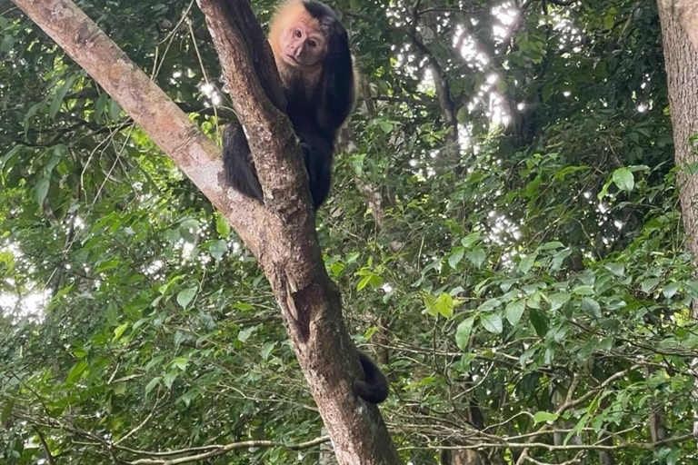 Panama City: Monkey Island & Gatun Lake Tour