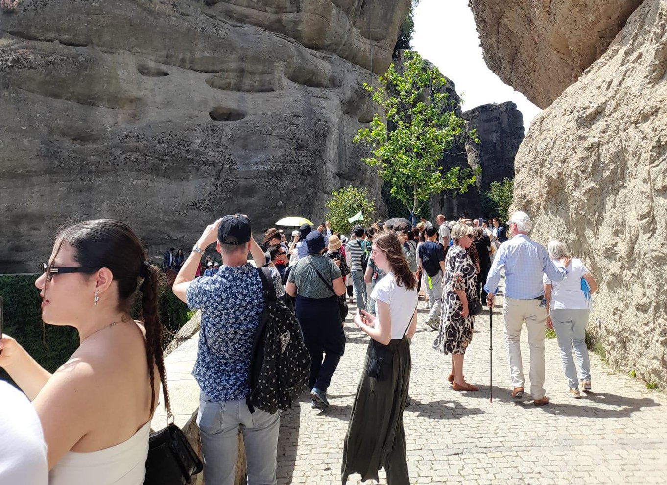 Fra Kalambaka eller Kastraki: Middagstur til Meteora