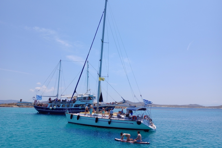 Mykonos: Rejs na wyspę Delos i Rhenia z pływaniem i greckim posiłkiem