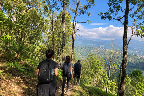 Pokhara: World Peace Pagoda & Pumdikot Day Hike with Guide