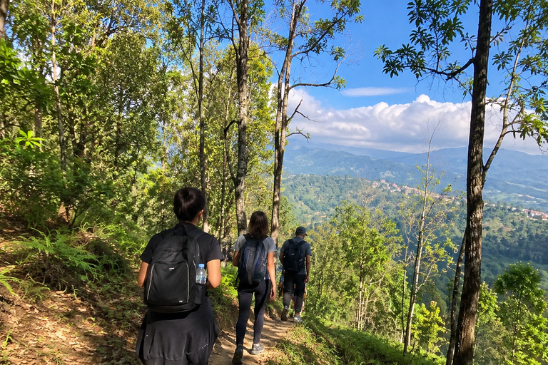 Pokhara: World Peace Pagoda & Pumdikot Day Hike with Guide