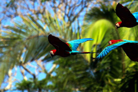 From Cusco: Manu Madre de Dios National Park Peru 7 Days