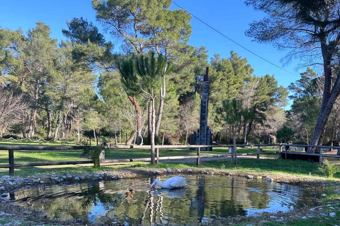 Golem/Durrës: Karavasta Lagoon Tour