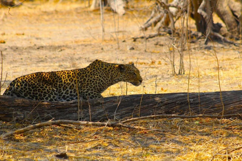 Safari Pirschfahrt mit Masuku Adventures