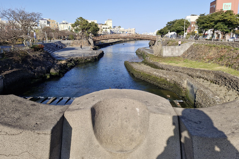 Jeju: 4.3 Geschichtliche und kulturelle Tour mit einem Guide