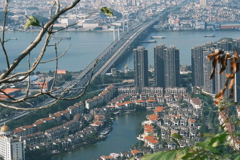 广州水乡、古镇和酒博物馆之旅中文或英文导游