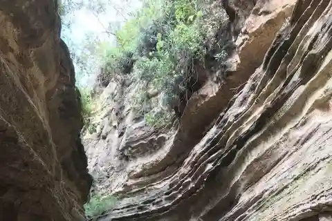Excursión de un día al Lago Naivasha y Hellsgate desde Nairobi
