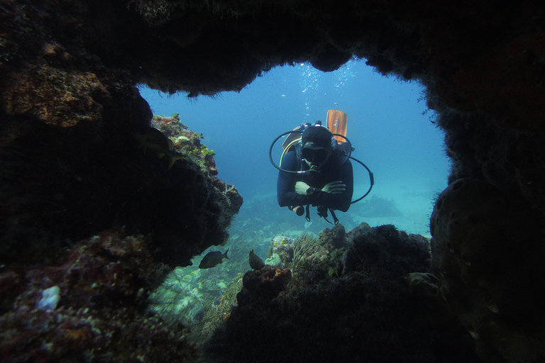 坎昆：在坎昆角进行 2 次珊瑚礁潜水（适合认证潜水员
