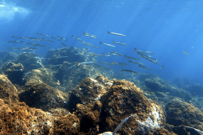 La Palma: First Snorkeling, Then an Intro to Scuba Diving - Discover the Atlantic La Palma: First snorkeling, then an introduction to scuba diving – discover the Atlantic