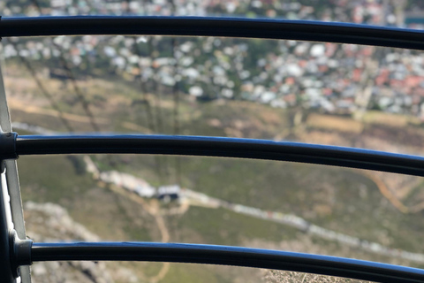 Cape Town: Table Mountain, Penguins & Cape Point Shared Tour