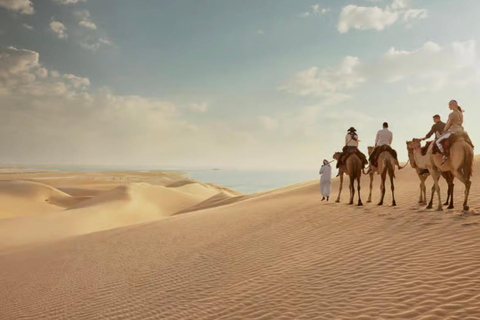 Doha: Desert Safari, City Tour, With Free Dhow Cruise Doha: Desert Safari, City Tour, and Dhow Cruise Combo