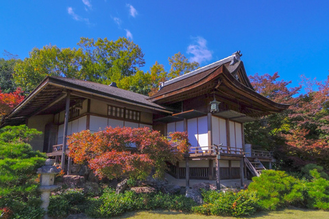 Kyoto: Arashiyama Highlights & Hozu River Boat Private Tour Private Tour (Pay Boat Cruise & Tickets on Site)
