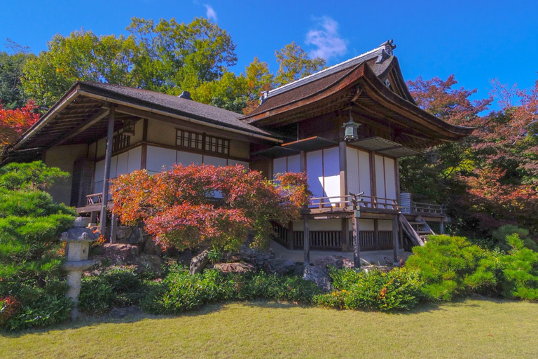 Kyoto: Arashiyama Highlights & Hozu River Boat Private Tour Private Tour (Pay Boat Cruise & Tickets on Site)