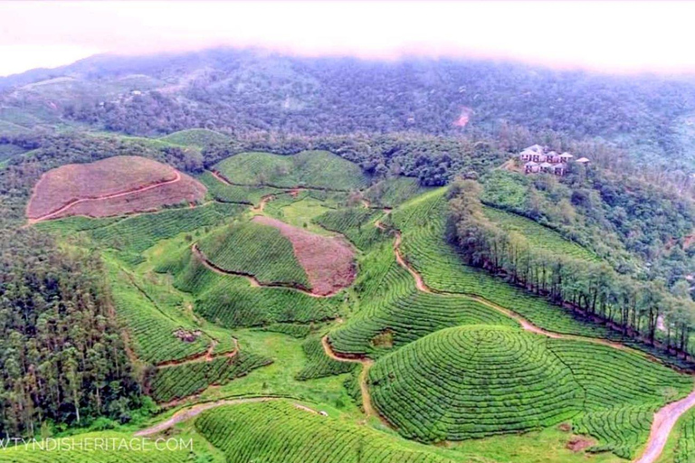 From Kochi:- 02 Days Munnar Hill Station & Nature Walk Tour 02 Days Munnar and Nature Walk Tour with 05- Star Hotel