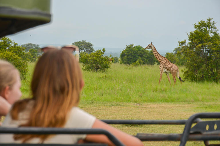 Serengeti und Ngorongoro-Krater: 3-Tage-Safari