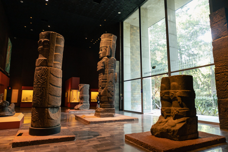 Mexico City: National Anthropology & Modern Art Museum Tour