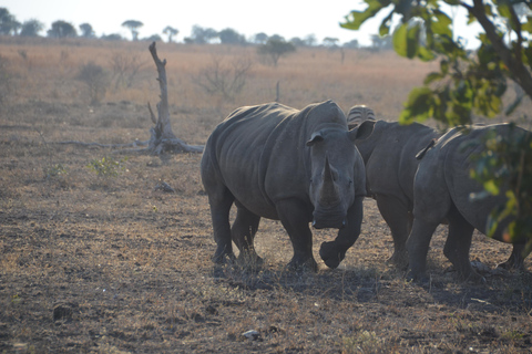 All incl. 4 Day Kruger South to Central from Johannesburg