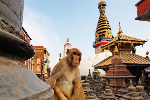 From Kathmandu: Iconic Chandragiri Hill &amp; Monkey Temple Tour