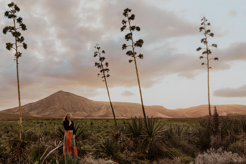 Fuerteventura: Magische Sonnenuntergangsfotosession zwischen Agaven und Vulkanen