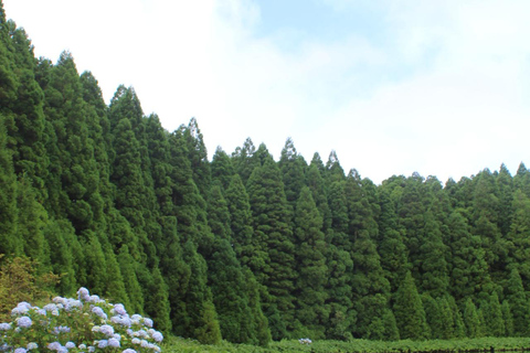 São Miguel: Private Customizable Full-Day Island Tour