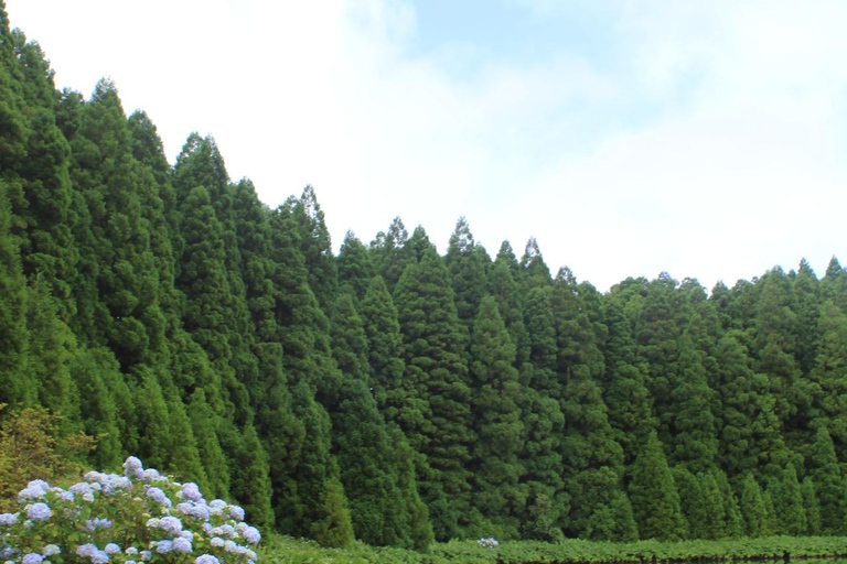 São Miguel: Private Customizable Full-Day Island Tour