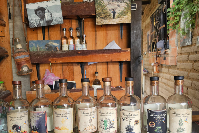 Breakfast in Tlacolula; Ancestral and industrial mezcal distillery