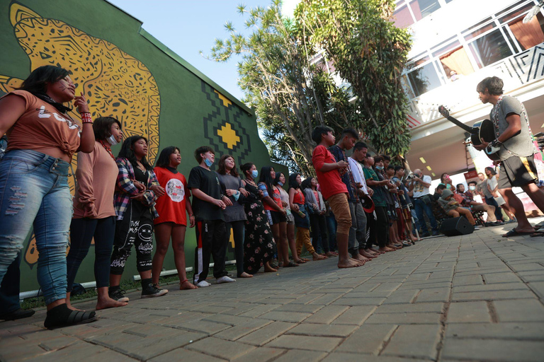 São Paulo: Indigenous Cultural Experience+Museum Visit