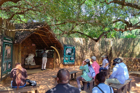 Visite du sanctuaire des éléphants et des singes et du parc des lions