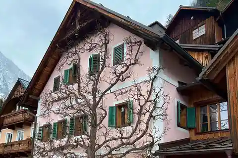 From Bratislava or Vienna: Hallstatt Day Trip in mini van
