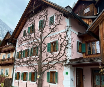 From Bratislava or Vienna: Hallstatt Day Trip in mini van