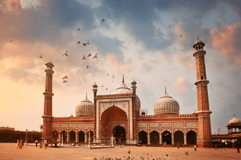 Sacred Serenity: Private Spiritual Exploration in Delhi Guide only