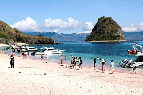 Labuan Bajo: Komodo National Park 6 Spots by Fast Boat