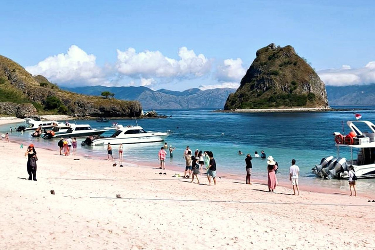 Labuan Bajo: Komodo National Park 6 Spots by Fast Boat