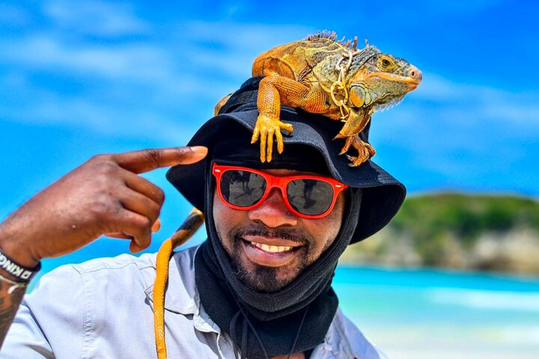 Punta Cana: ATV or Buggy Tour with Cenote and Beach Punta Cana: ATV or Buggy Tour with Cenote and Beach