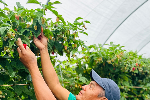 Québec - Visites à pied de l'agriculture sur l'île d'OrléansVisites à pied dans l'agriculture - Saveur unique de l'île