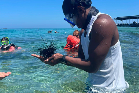 Sightseeing tour of the Rosario Islands (snorkeling, lunch and raccoons)