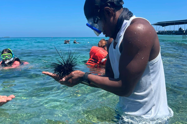 Sightseeing tour of the Rosario Islands (snorkeling, lunch and raccoons)