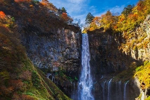 Nikko: Kegon Falls, Chuzenji, Shinkyo Bridge, Toshogu Temple In Luxury Velfire Nikko Private Customized Tour