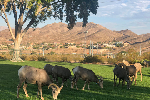 Las Vegas: Grand Canyon West &amp; Hoover Dam Day Trip