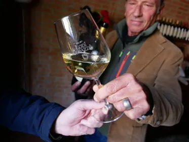 Colli Bolognesi: Exklusive Weintour und Verkostung