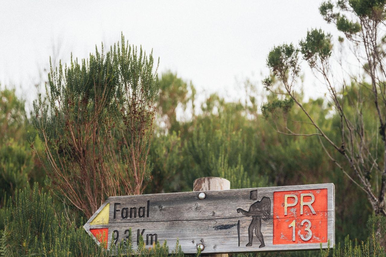 Funchal: Vereda do Fanal PR13 Hiking with Transfer & Guide