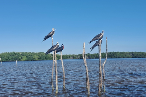 Río Lagartos: Flamingosafari en Las Coloradas Tour