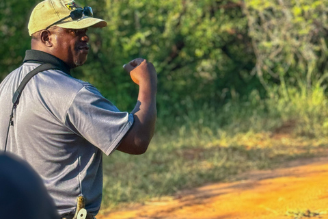 Cataratas Vitória: Caminhada de caça no Parque Nacional do ZambezeCaminhada de caça à tarde