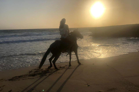 Aruba: Sunrise Horseback Riding Tour with Hotel Transfer