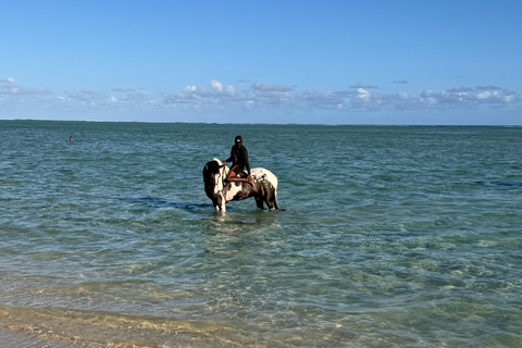 Descubriendo el sur. Paseos a caballo por la playa, excursiones a cascadas.