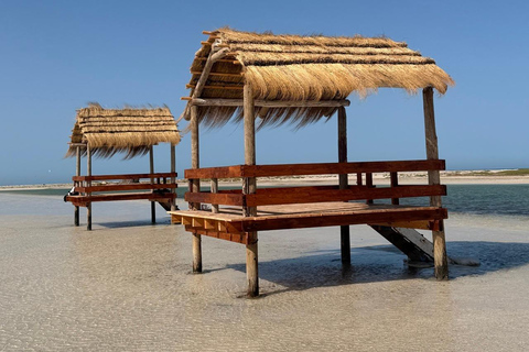 Hessi Jerbi Zarzis Day Trip: The Unmissable Getaway from Djerba