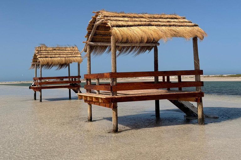 Hessi Jerbi Zarzis Day Trip: The Unmissable Getaway from Djerba